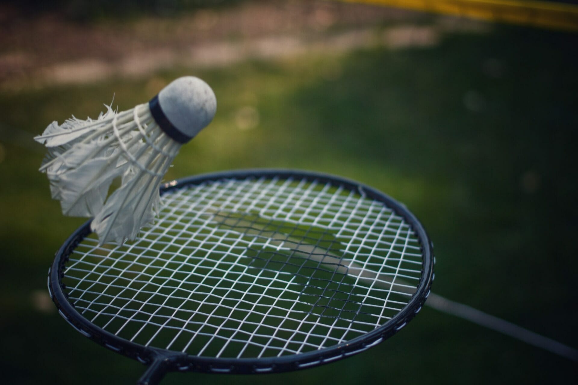 2 Major Types Of Shuttlecock In Badminton: An Essential Guide